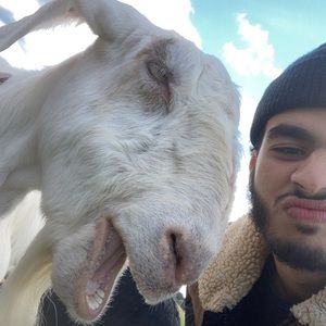 Meet your Posher, Yahya